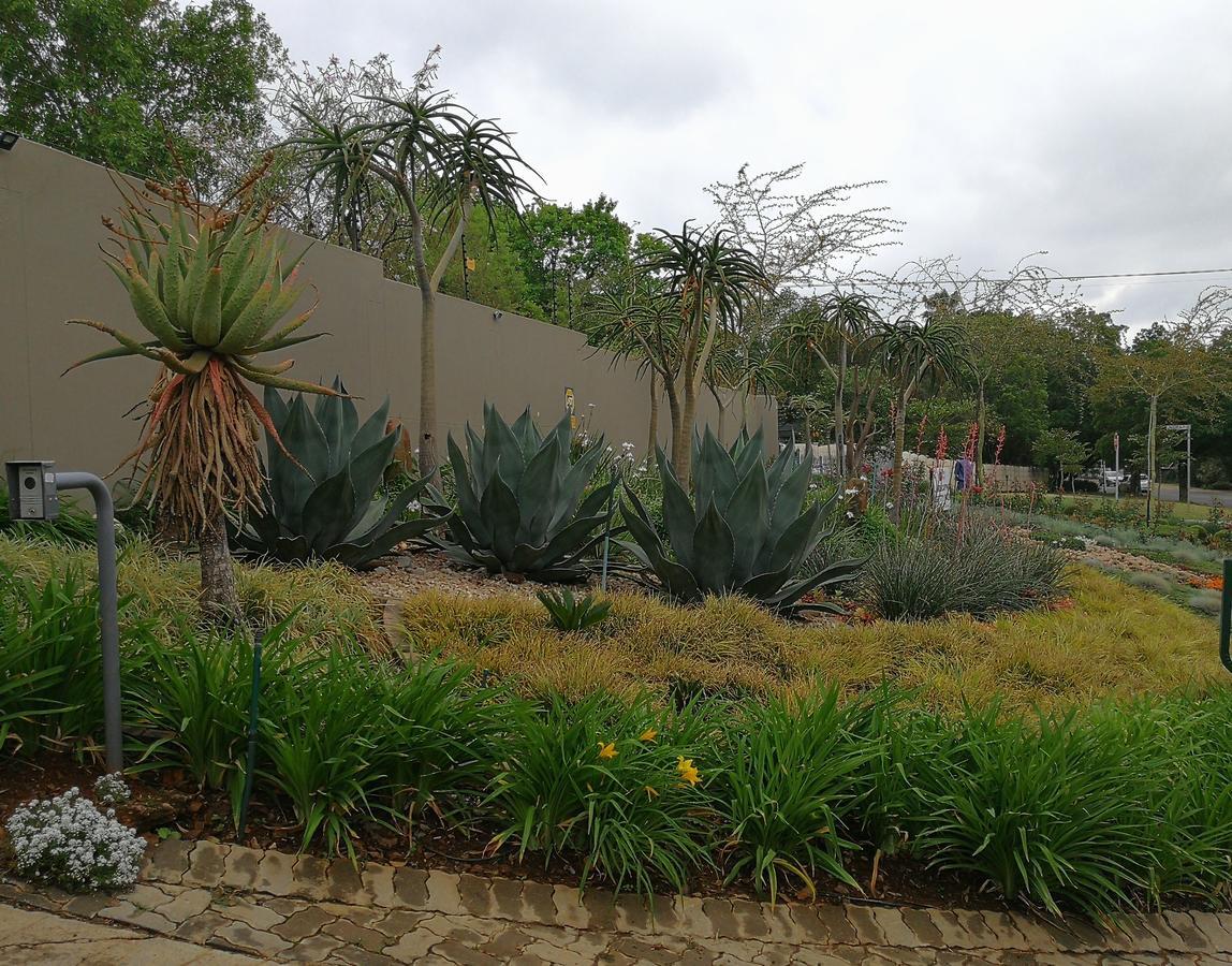 At 98 On Lynburn Guest House Pretoria-Noord Εξωτερικό φωτογραφία